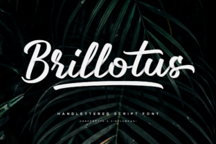 Brillotus: A Handwritten Font for Editorial Design