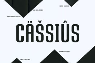 Cassius: A Bold Sans Serif Font for Digital Design