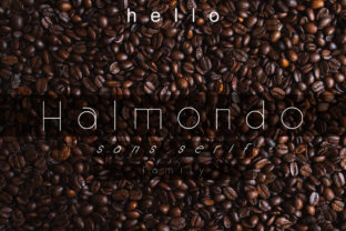 How Halmondo Gave My Small Business a Consistent, Polished Look