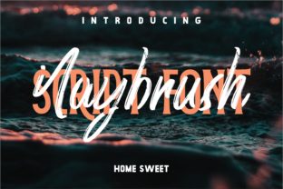 Naybrushy: How a Bold Script Font Transforms Web Design