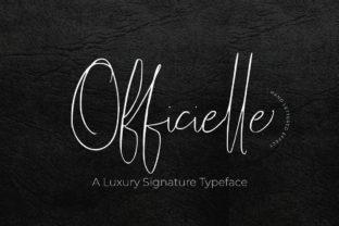 Officielle Script: A Handwritten Font That Sharpens Campaign Messaging