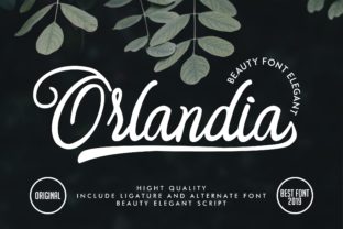 Orlandia: A Handwritten Font for Handmade Products That Sells