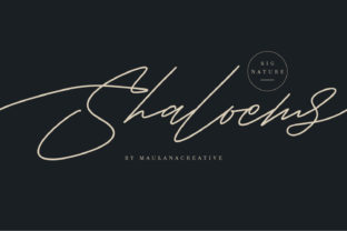 Shaloems Brings Playful Charm to Café Branding