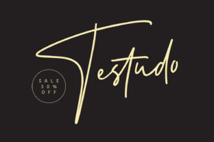 Testudo Font Review: A Bold Handwritten Typeface for Brand Design